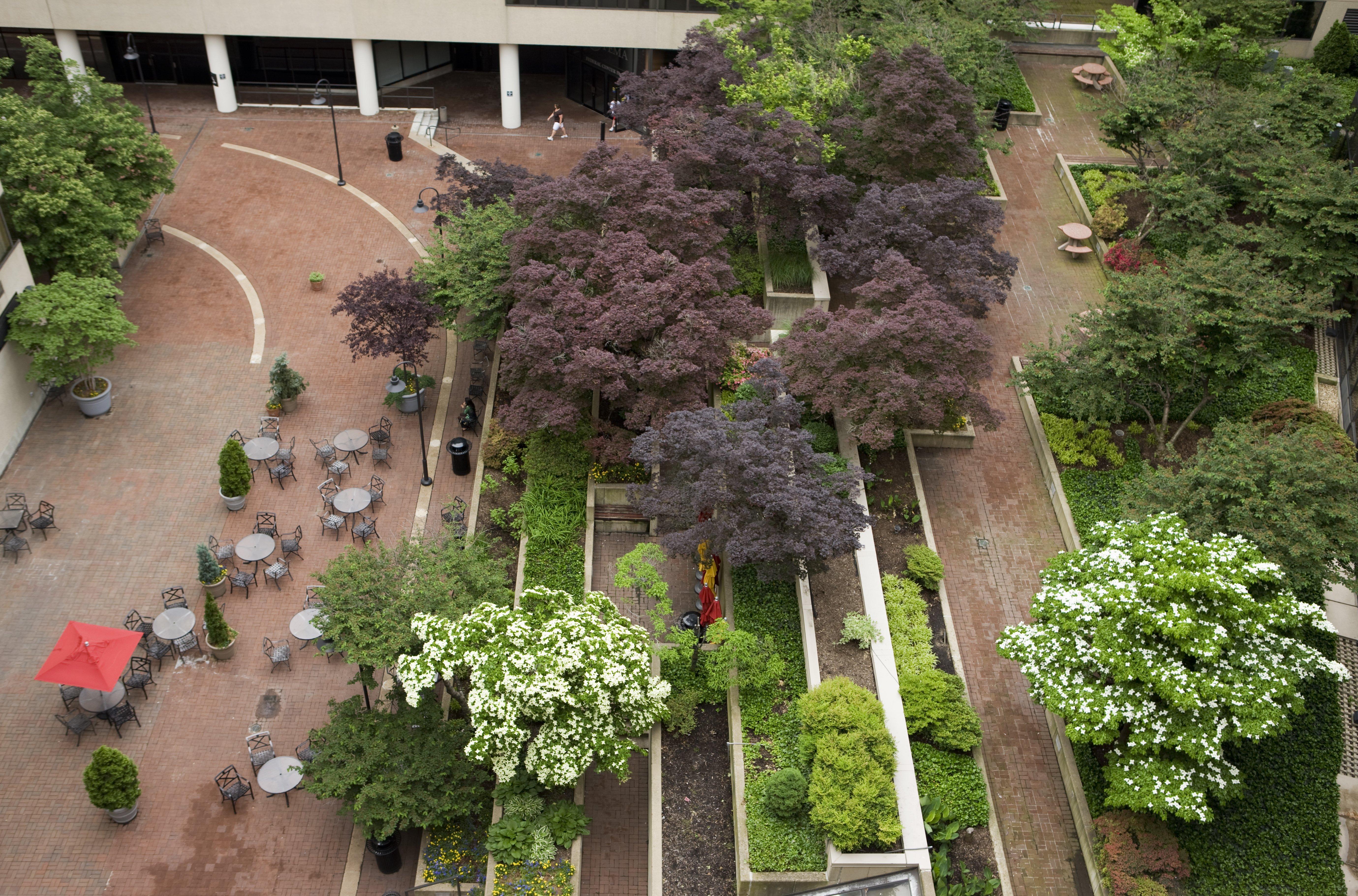 Holiday Inn Washington Capitol-National Mall By Ihg Luaran gambar